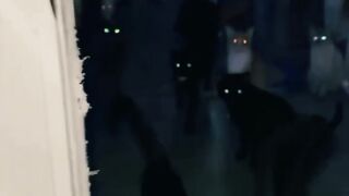 Night vision cats????‍⬛????????‍⬛