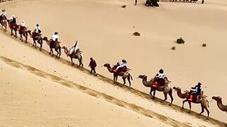 The Gobi Desert