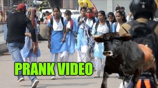 Cow Cow Cry Prank In Public || funny video Funny Dialogues Video In Public || Crazy Kartikey