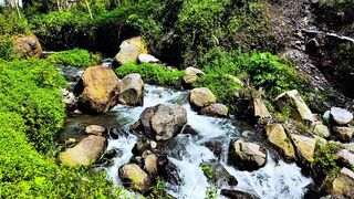 Relaxing River Sounds for Meditation | Calm Flowing Water to Enhance Focus and Inner Peace