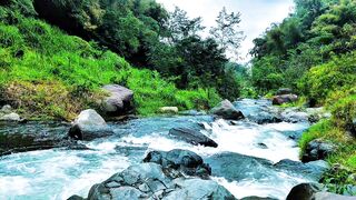 Relaxing River Sounds for Sleep | Calm Flowing Water to Soothe Your Mind and Improve Sleep Quality