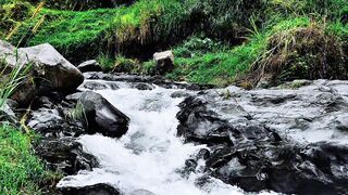 Gentle River Flow Sounds | Best Water Sounds for Relaxing and Sleeping