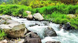 Peaceful River Sounds | Relaxing Water Flow for Meditation, Stress Relief, and Mental Clarity