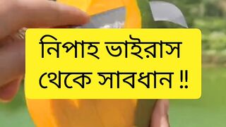 নিপাহ ভাইরাস থেকে সাবধান !!