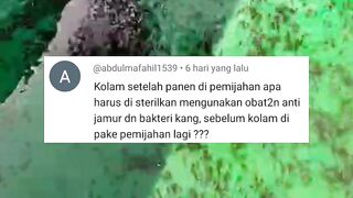 Setelah panen apakah kolam perlu di sterilisasi dengan OBAT anti jamur