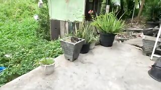 Small Stray Cat, Afraid of Being Near, Feeding a Stray Cat