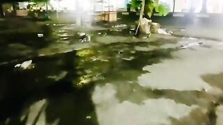 Feeding Two Homeless Cats at Night