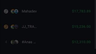 Mara profit 17 dollar 1min my