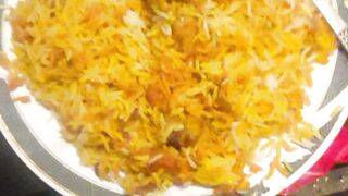 Spicy chicken biryani nonvege dish