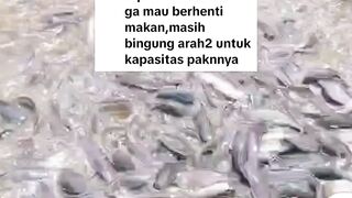 Ini alasan kenapa pertanyaan seperti ini gak pernah saya balas