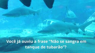 Como Se Proteger de Traidores e Colaboradores Mal-Intencionados em Ambiente de Trabalho