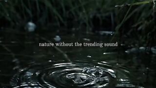 Nature without the trending sound leave with nature