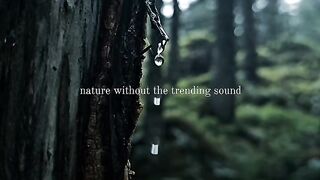 Nature Sound without the trending sound