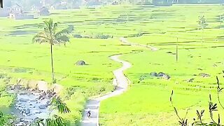 PEMANDANGAN ALAM TERINDAH DI GARUT SELATAN#shorts #alam