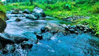 Magic Water River For Healing Nature And Refresh Your Brain, Listen It