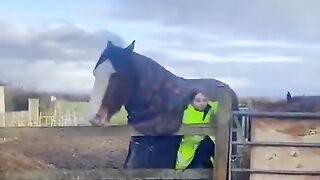 A horse saves the girl from being crushed by one o