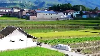 THIS VILLAGE HAS FERTILE LAND - Natural Scenery Indonesian Village Stories #shorts #shortfeed #landscape