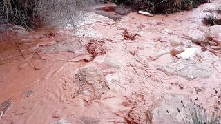 "The Beauty of a River Flowing Through a Gorge: A Natural Masterpiece"