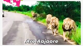 Aajaore Aajao Jaldi ????????????????????_instagraam _facebook _instagraam _trending _reel _comedy(HD).