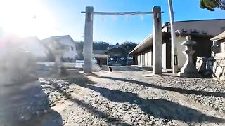 New Year's visit with a cat I met at a shrine on Nekojima