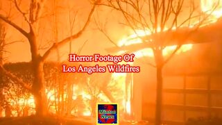 Raw footage captures horror of Los Angeles wildfires