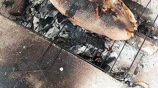 Grilling Jebung Fish in the Wild! Smoky and Delicious! ????????