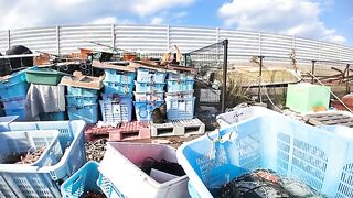 A cat that was in a storage room at a fishing port came out to be mopped when I looked at its face.