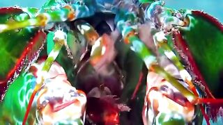 Lobster aquarium ocean