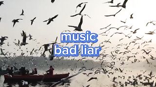 Music bad liar