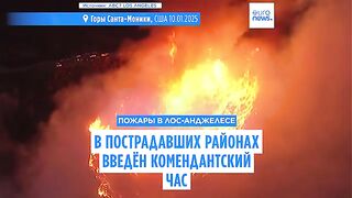 Пожары в Лос-Анджелесе: число жертв растёт, введён комендантский час