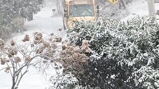 A school bus was able to keep control of the bus!!!