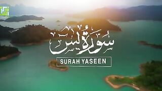 surah YASEEN sweet sound relexing