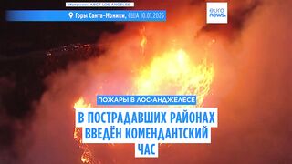 в Лос-Анджелесе: число жертв растёт, введён комендантский час