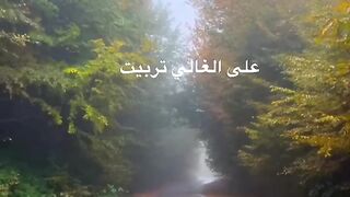 كلمات و أقوال