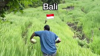 This is not bali