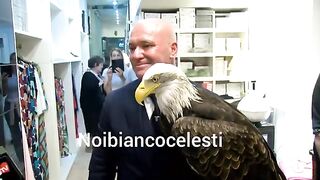 Full Juan Bernabe Lazio Video Protesi Falconiere Lazio