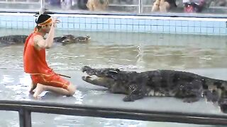 Сrocodile show in Thailand. Part 2