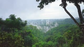 Costa Rica Jungle 4K - Beautiful Tropical Rainforest with Exotic Wildlife ｜ Scenic Relaxation Film