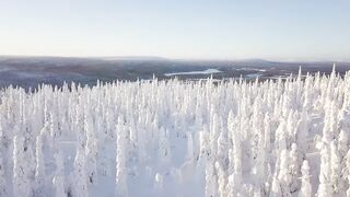 Snow Animals 4K - Amazing World of Winter Wildlife ｜ Scenic Relaxation Film