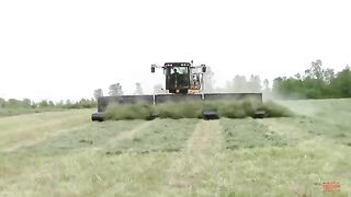 MOWING MERGING HARVESTING Alfalfa with Big Tractors