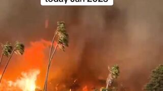 Wildfire in los angeles