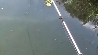 Mancing dirawa rawa ternyata banyak ikannya ges