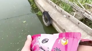 Seorang pria mancing mendapatkan ikan yang super besar ges