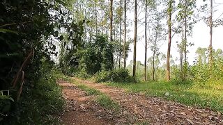 Terrifying moment of two men when they saw the giant king cobra crossing the road.