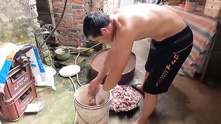 light job with high salary - how Vietnamese people make millions of dollars from raising cobras.