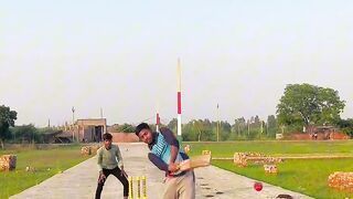 Funny cricket