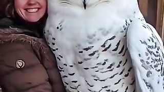 بوم بحجم الإنسان  human sized owl