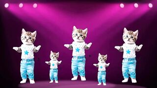 Vidéos de chat danse drôle   Vidéos pour chatsv#funnycats #dancingcat  #amoureuxdeschats @furry-cornerz