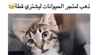 ههههه