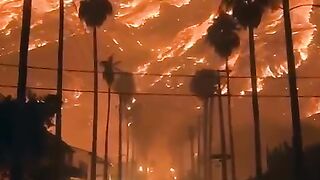 californiawildfires_????#california_#wildfire_#wildfires_#californiafires_#wildfireseason(480p).mp4